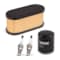 Champion Power Equipment 14 kW Home Standby Maintenance Kit, Includes Two Spark Plugs, Air Filter and Oil Filter 100817 - alternate 1